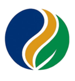 Rio Grande Global Holdings Corporation Logo